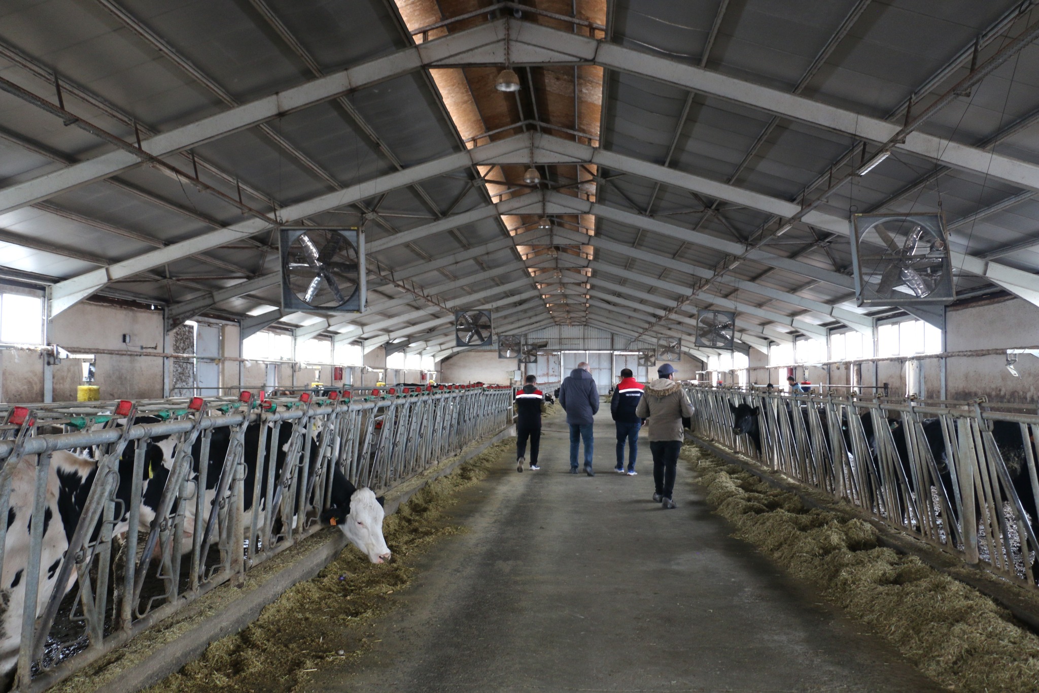 İL TARIM VE ORMAN MÜDÜRÜ KOÇAKER’DEN SÜT SIĞIRCILIĞI İŞLETMESİNE İNCELEME