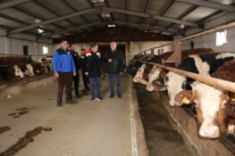 İl Müdürü Koçaker’den Hancıçiftliği’nde Süt Sığırcılığı İşletmesine Ziyaret