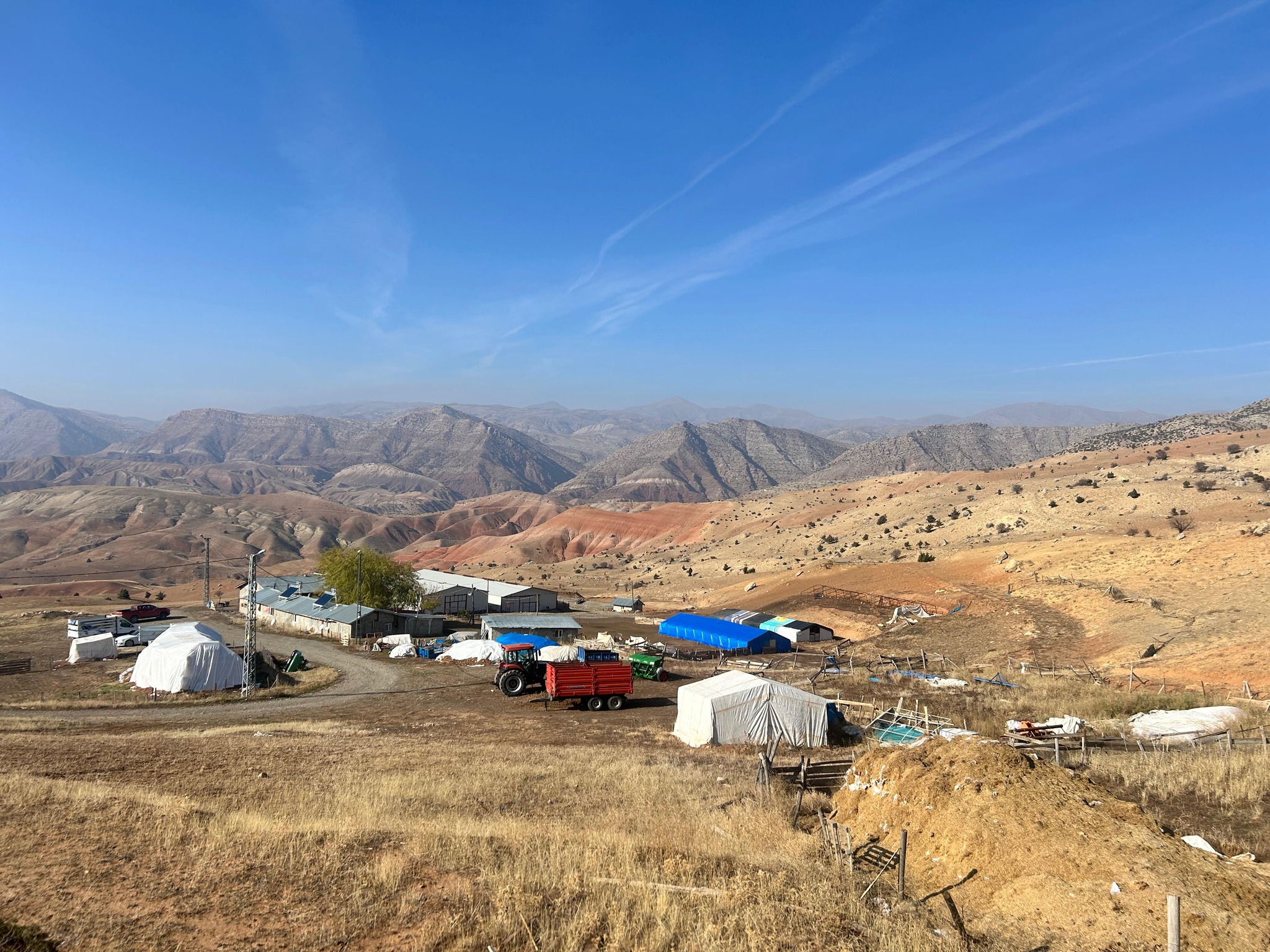 KEMAH’TA 5 BİN KÜÇÜKBAŞ KAPASİTELİ TESİSTE İNCELEME