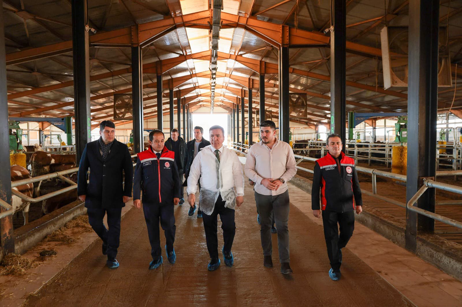 VALİ AYDOĞDU, TKDK DESTEKLİ BESİ İŞLETMESİNİ ZİYARET ETTİ