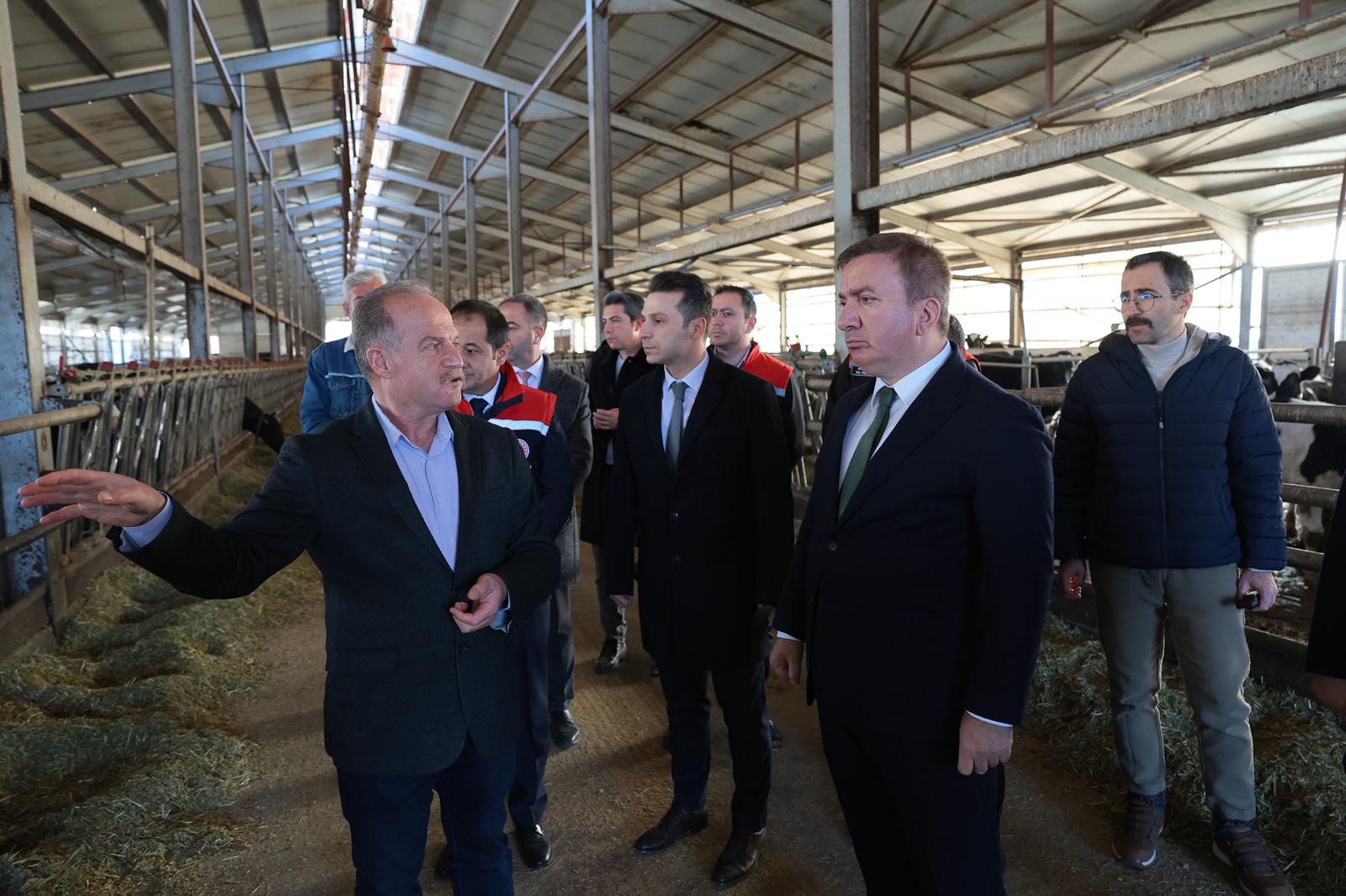 VALİ AYDOĞDU’DAN ÜZÜMLÜ’DE TKDK DESTEKLİ SÜT TESİSİNE ZİYARET