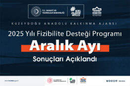 2025 Yılı Fizibilite Desteği Programı Sonuçları Açıklandı