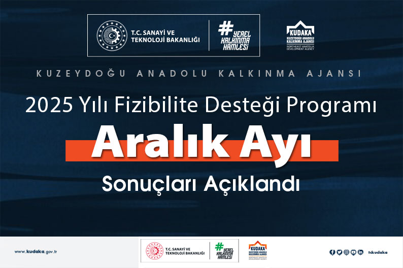 2025 Yılı Fizibilite Desteği Programı Sonuçları Açıklandı
