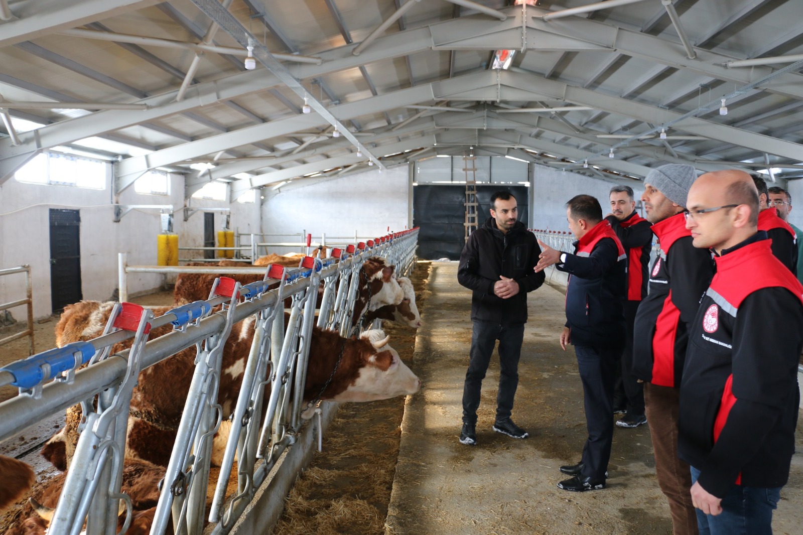 Devlet Desteği Kırsalda Üretime Dönüştü: Üzümlü’de Modern Hayvancılık Tesisi Faaliyete Geçti