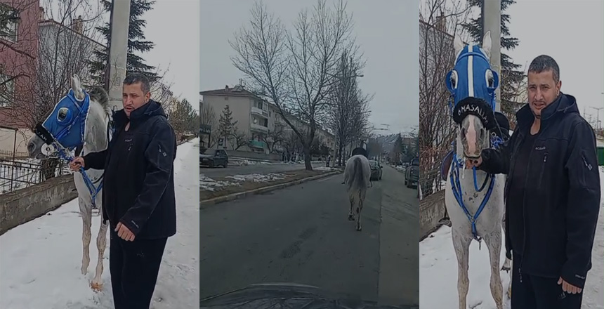 Başıboş Gezen At Erzincan’da Kovalamacayla Yakalandı