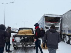 Tipi Yolları Kapattı, 200 Büyükbaş Yolda Kaldı: Erzincan’da Seferberlik