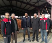 Erzincan’da “Yağsız Kesim” Uygulaması Başladı