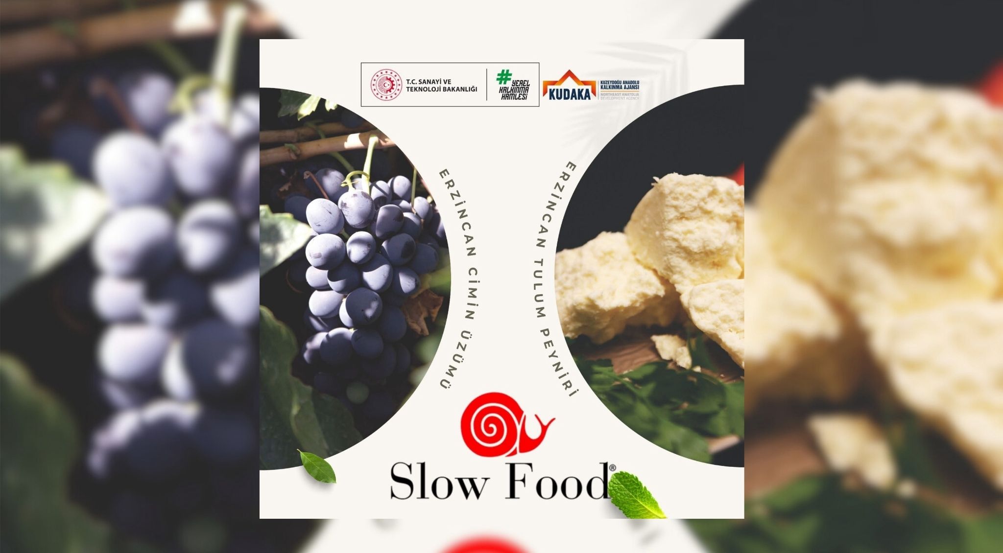 Erzincan’ın İki Değeri “Ark of Taste” Listesinde