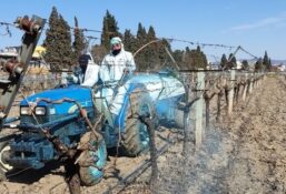 Çiftçilere Kritik Uyarı: Bordo Bulamacı Uygulama Zamanını Kaçırmayın