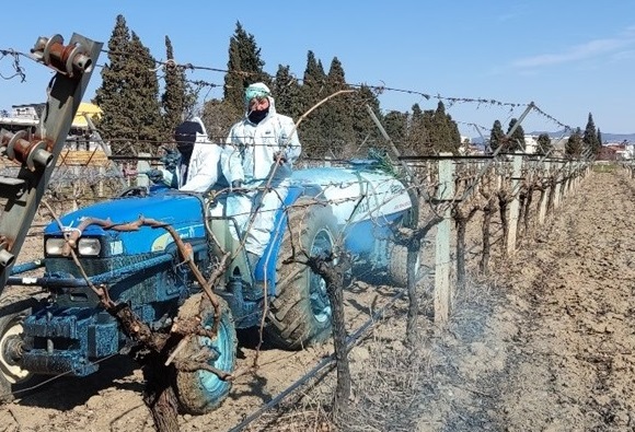 Çiftçilere Kritik Uyarı: Bordo Bulamacı Uygulama Zamanını Kaçırmayın