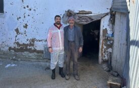 Kırsalda Hayvancılığa Destek: Tırnak Bakımı Hizmeti Dört Yerleşimde Verildi