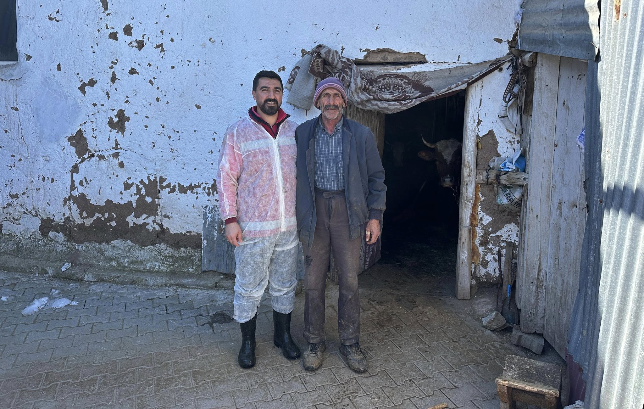 Kırsalda Hayvancılığa Destek: Tırnak Bakımı Hizmeti Dört Yerleşimde Verildi