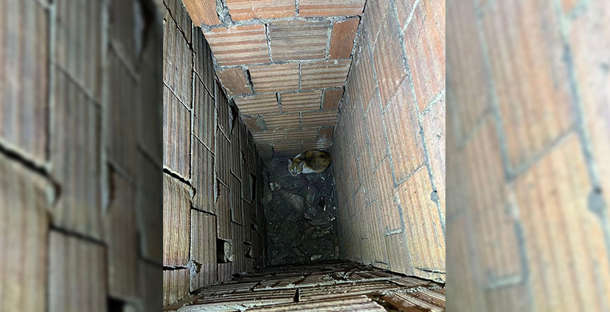 Minik Can İçin Seferberlik: Havalandırma Boşluğuna Düşen Kedi Kurtarıldı