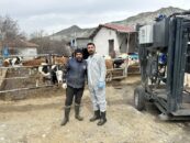 Birlik Ekipleri Sahada: Üreticilere Tırnak Bakımı Desteği