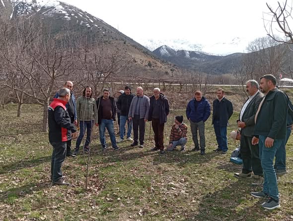 Budama Sahada Öğretildi, Verim Artışı Hedefleniyor