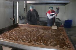 Erzincan Eti Türkiye Sofralarına Ulaşıyor: Üzümlü’deki Tesis Bölge Ekonomisine Güç Katıyor