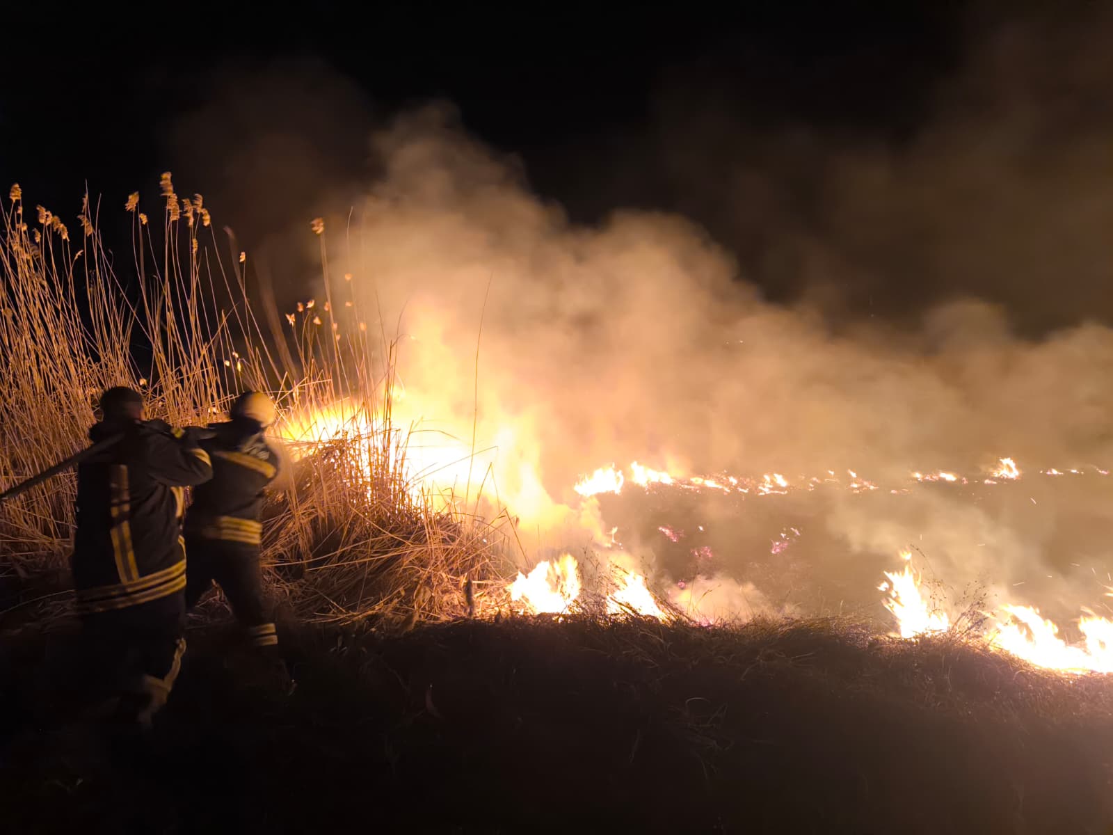 Erzincan’da Anız Yangını Paniği: Ekipler Zamanında Müdahale Etti
