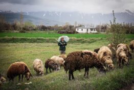 Erzincan’da Bahar Renkleri: Kartpostallık Görüntüler Ortaya Çıktı