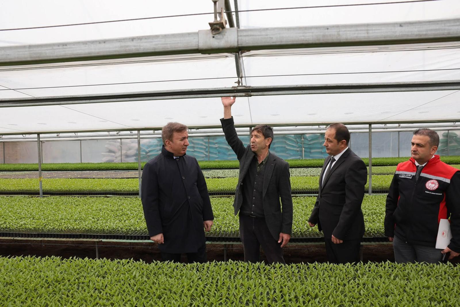 Erzincan’da Fide Üretim Tesisine Ziyaret: Yıllık 4 Milyon Fide Üretimi