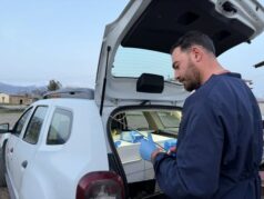 Erzincan’da Hayvancılığa Destek: Üzümlü’nün 3 Köyünde Suni Tohumlama Hizmeti Verildi