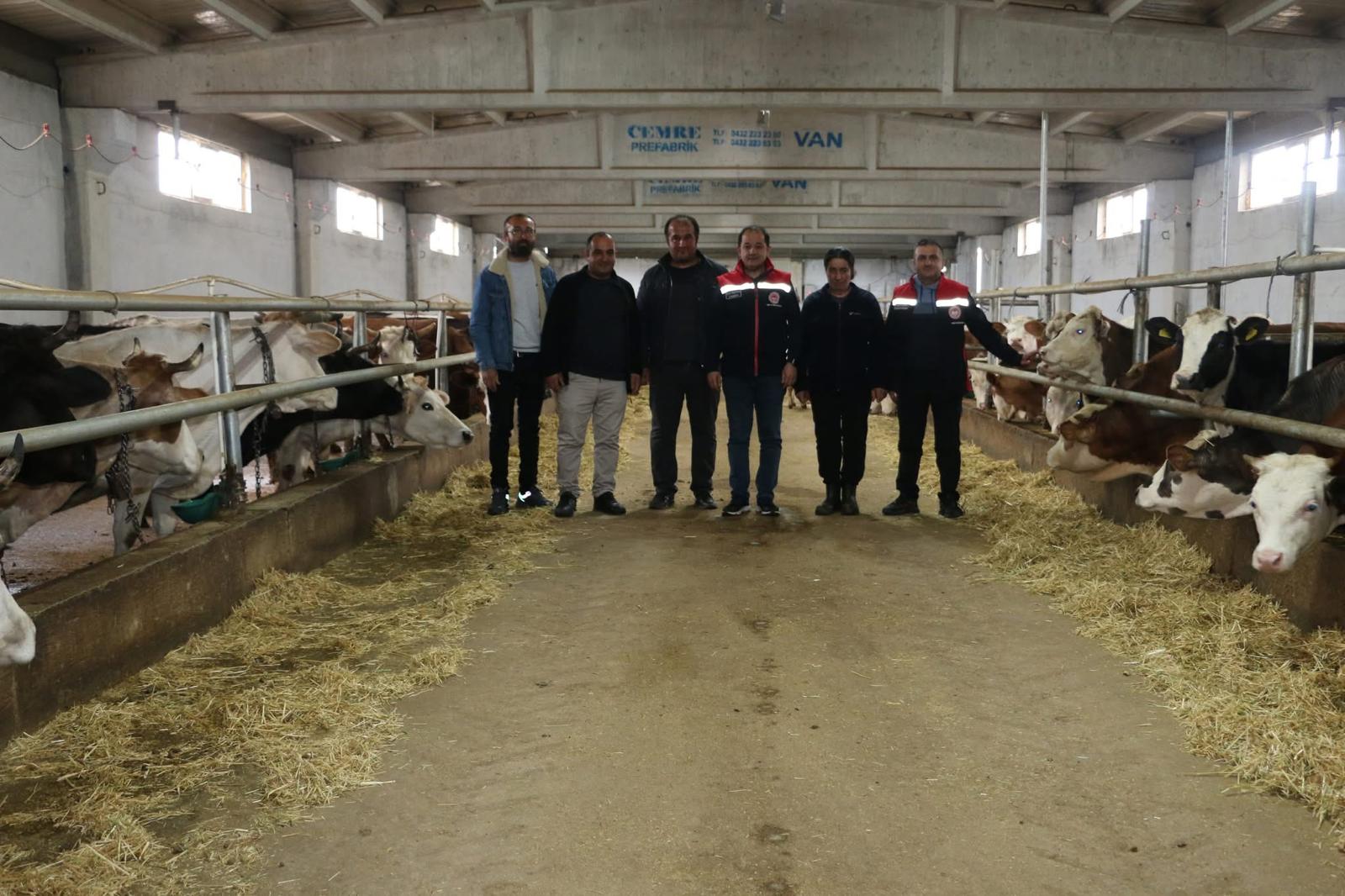 Erzincan’da Örnek Üretim: Süt Katma Değere Dönüşüyor