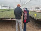 Erzincan’da Seralar Mercek Altında: Fide Üretimine Sıkı Denetim