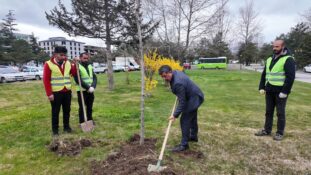 Masumiyet Çınarları Toprakla Buluştu: Minik Başkanın Talebi Gerçeğe Dönüştü
