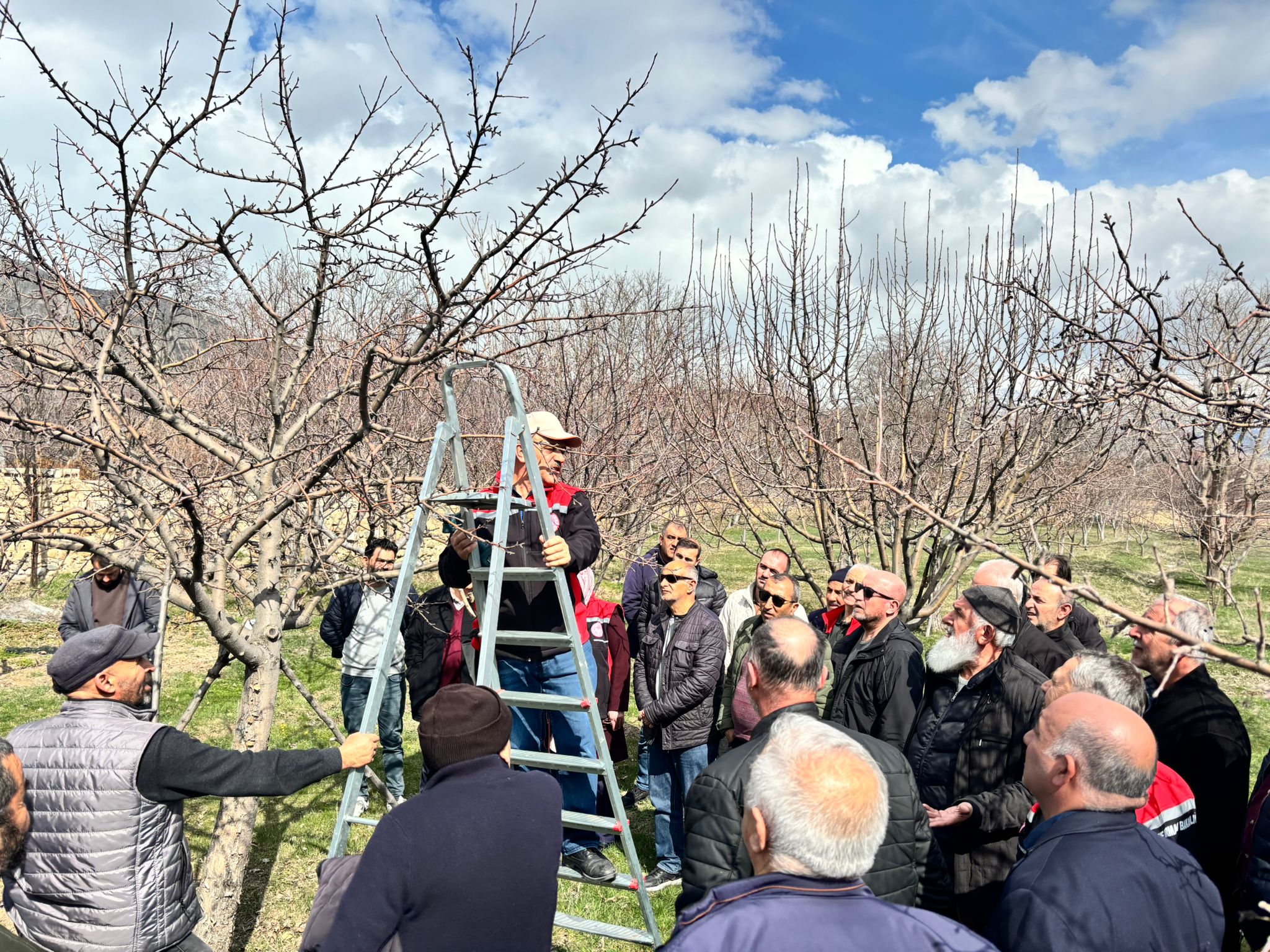 Üretici Sahada Öğrendi: Budama Eğitimi Verim Getirecek