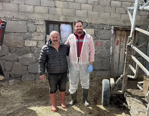 Üzümlü’de Hayvancılığa Yerinde Destek: Tırnak Bakımı Hizmeti Sahaya İndi