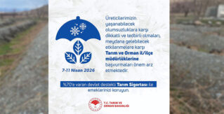 Zirai Don Alarmı: Erzincan’da Üreticilere Kritik Uyarı