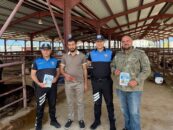 Erzincan Emniyeti’nden Kurban Pazarında Sahtecilik ve Dolandırıcılık Uyarısı