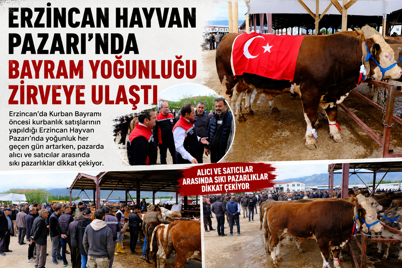 Erzincan Hayvan Pazarı’nda Bayram Yoğunluğu Zirveye Ulaştı