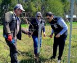 Erzincan’da Bağcılık Çalışmaları Yerinde İncelendi