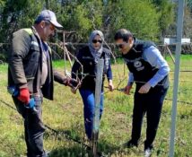 Erzincan’da Bağcılık Çalışmaları Yerinde İncelendi