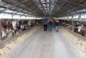 Erzincan’da Besicilik Yatırımları Güçleniyor