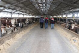 Erzincan’da Besicilik Yatırımları Güçleniyor