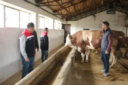 Erzincan’da Hayvancılık Yatırımları Yerinde İncelendi