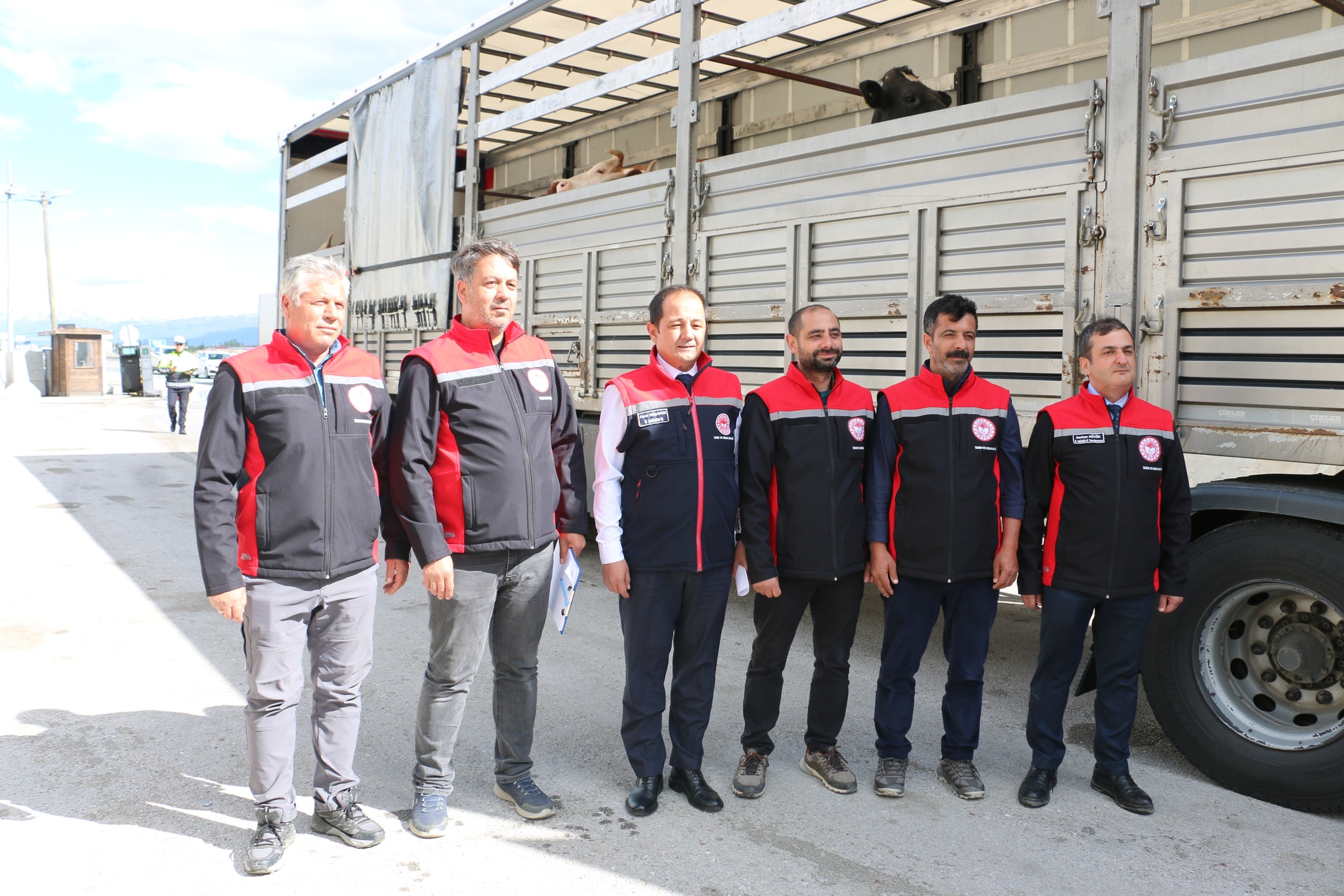 Erzincan’da Kurbanlık Sevkiyatlarına Sıkı Denetim