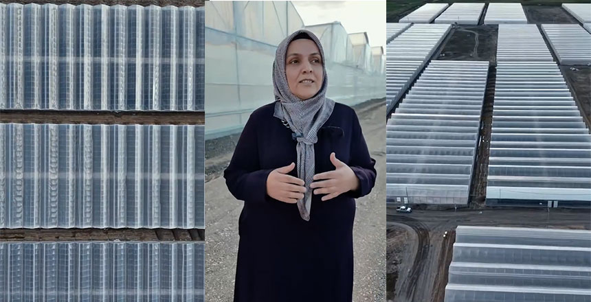 Erzincan’da Toplu Sera Bölgesi Üretime Başladı