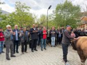 Kemaliye’de Kadim Gelenek Yeniden Hayat Buldu