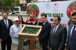 Üreticiye Büyük Destek: 780 Bin Domates ve Biber Fidesi Dağıtıldı