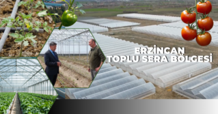 Üreticiye Tam Destek: Başkan Aksun Sera Bölgesinde Çiftçilerle Buluştu