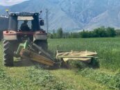 Erzincan Belediyesi’nden Tarımsal Üretimde Verim Hamlesi