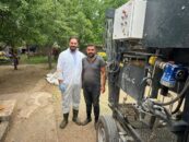 Erzincan’da Büyükbaş Hayvanlara Tırnak Bakımı Desteği Sürüyor