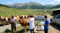 Erzincan’da Kene Vakalarına Karşı 975 Bin Liralık Mücadele Bütçesi Onaylandı