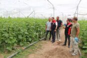 Erzincan’da Seracılık Yatırımları Üretime Güç Katıyor