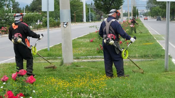 Erzincan’da yeşil alanlarda bakım: Gül budama ve çim biçme çalışmaları sürüyor
