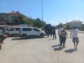 Erzincan’daki Cinayet Davasının Hükümlüsü Cezaevinde Ölü Bulundu İddiası