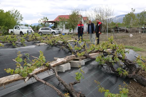 İl Müdürü KOÇAKER’den Cimin Üzümü Bağlarına Ziyaret