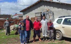 Mercan ve Çadırkaya’da Büyükbaş Hayvanlara Tırnak Bakımı Hizmeti